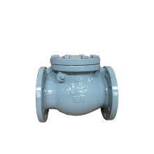 JIS Standard Cast Iron Check Valve (JIS-10K)